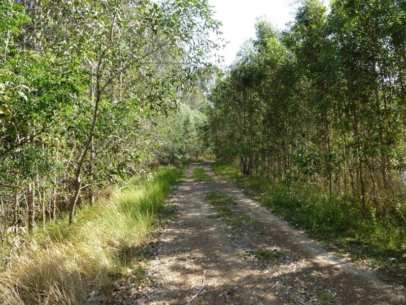 426 / Lot 9 Coast Road, Baffle Creek QLD 4674