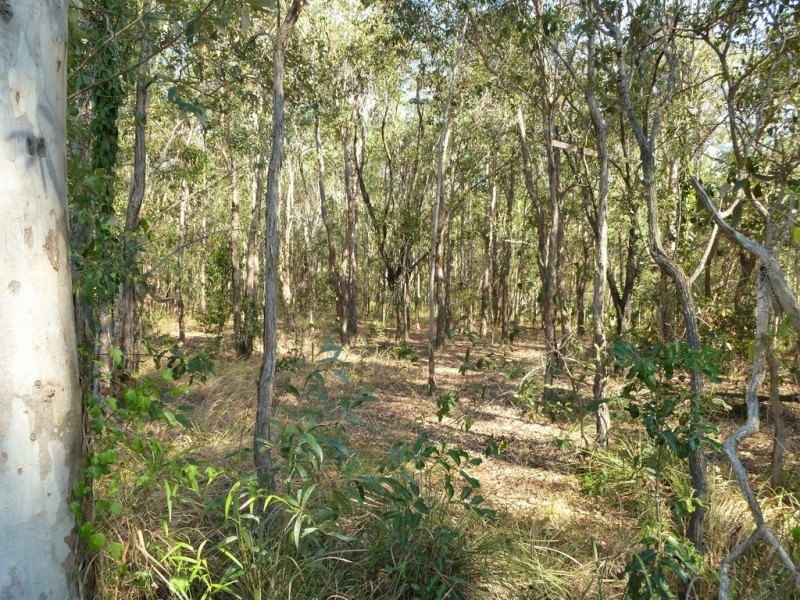 426 / Lot 9 Coast Road, Baffle Creek QLD 4674