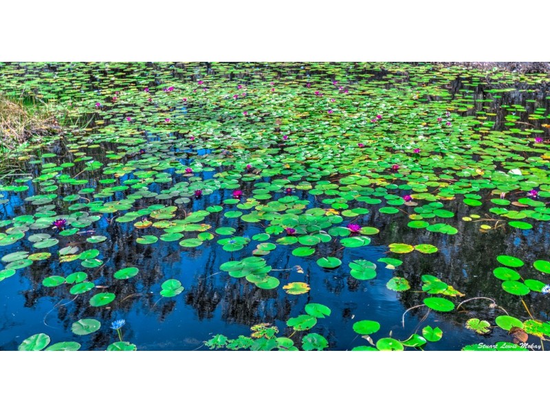 202 Streeter Drive, Agnes Water QLD 4677