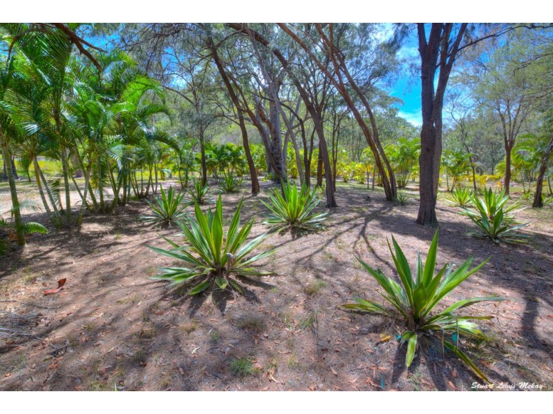 202 Streeter Drive, Agnes Water QLD 4677