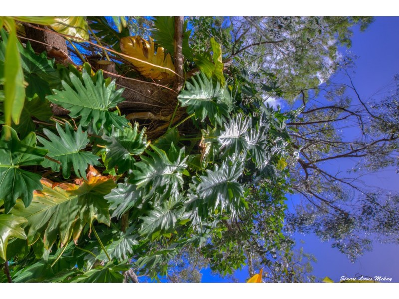 202 Streeter Drive, Agnes Water QLD 4677