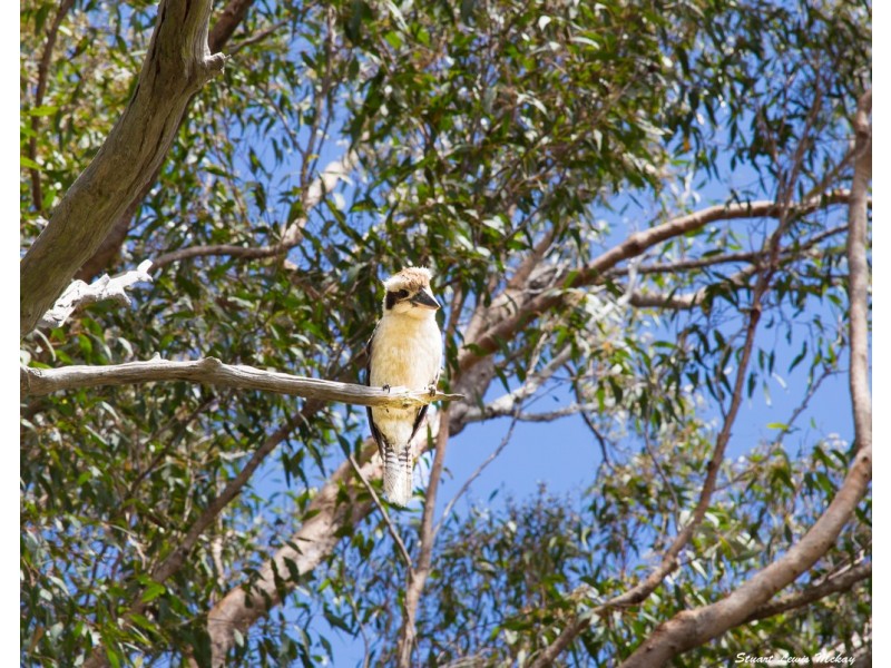 202 Streeter Drive, Agnes Water QLD 4677