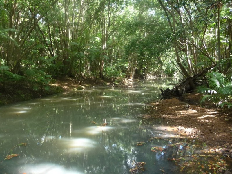 lot 64 CREEVEY DRIVE, Captain Creek QLD 4677