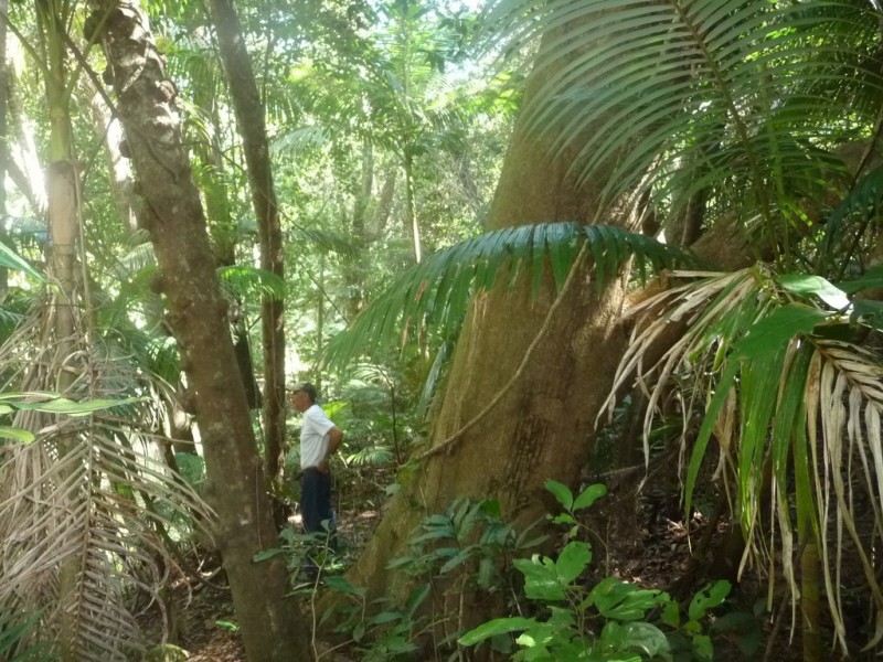 lot 64 CREEVEY DRIVE, Captain Creek QLD 4677