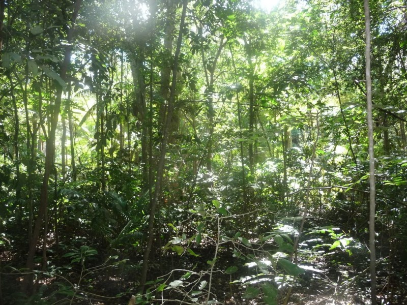 lot 64 CREEVEY DRIVE, Captain Creek QLD 4677