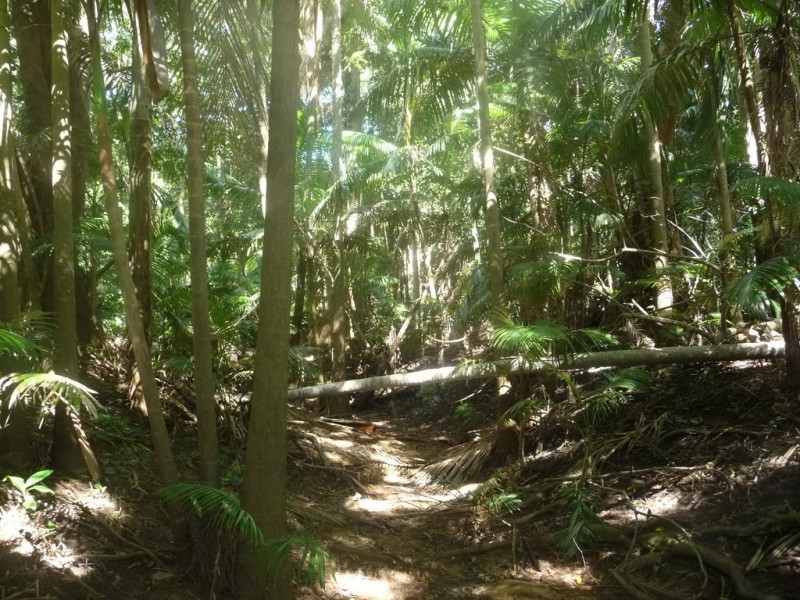 lot 64 CREEVEY DRIVE, Captain Creek QLD 4677