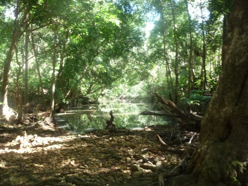 lot 64 CREEVEY DRIVE, Captain Creek QLD 4677