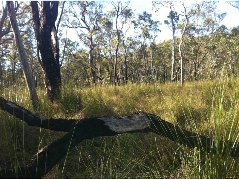 Captain Creek QLD 4677