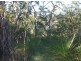 Captain Creek QLD 4677