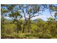 50 Fitzroy Crescent, Agnes Water QLD 4677