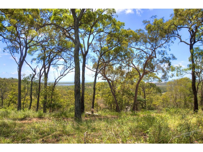 50 Fitzroy Crescent, Agnes Water QLD 4677