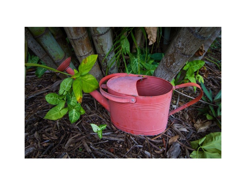 10 Sunlover Avenue, Agnes Water QLD 4677