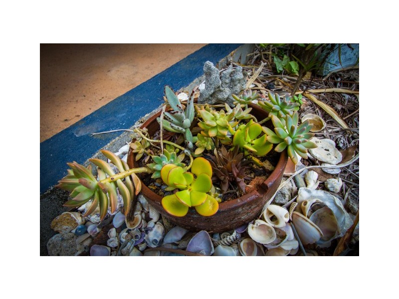 10 Sunlover Avenue, Agnes Water QLD 4677