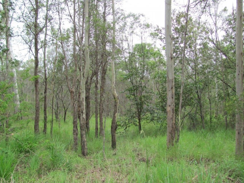 lot 28 Creevey Drive, Captain Creek QLD 4677