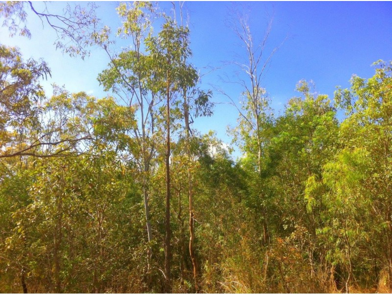lot 28 Creevey Drive, Captain Creek QLD 4677