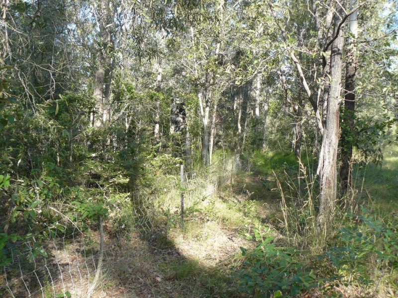 lot 28 Creevey Drive, Captain Creek QLD 4677