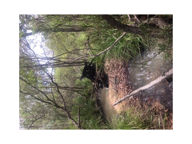 lot 28 Creevey Drive, Captain Creek QLD 4677