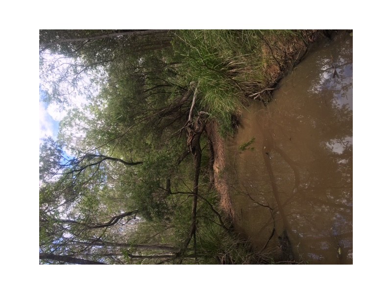 lot 28 Creevey Drive, Captain Creek QLD 4677