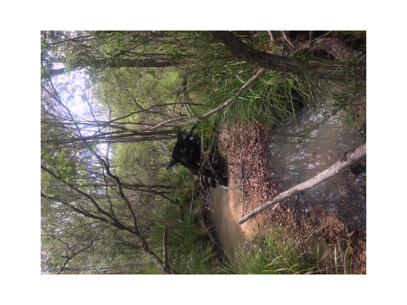 lot 28 Creevey Drive, Captain Creek QLD 4677