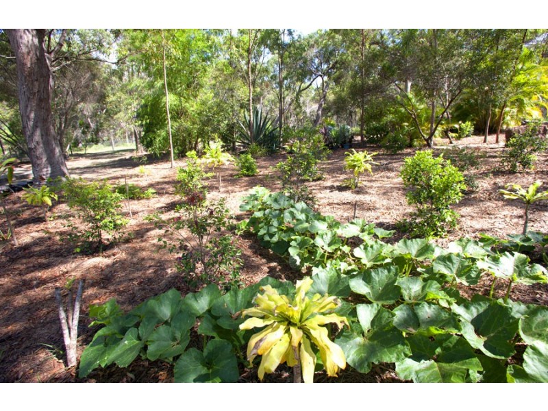 37 Wilson Drive, Agnes Water QLD 4677