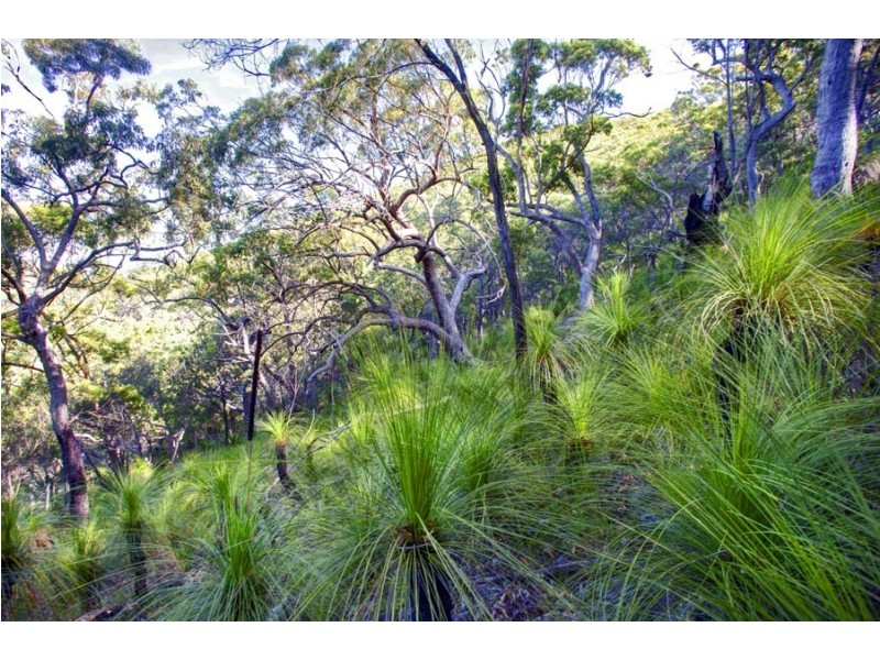 L151 Josefski, Agnes Water QLD 4677