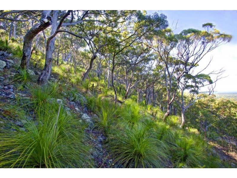 L151 Josefski, Agnes Water QLD 4677