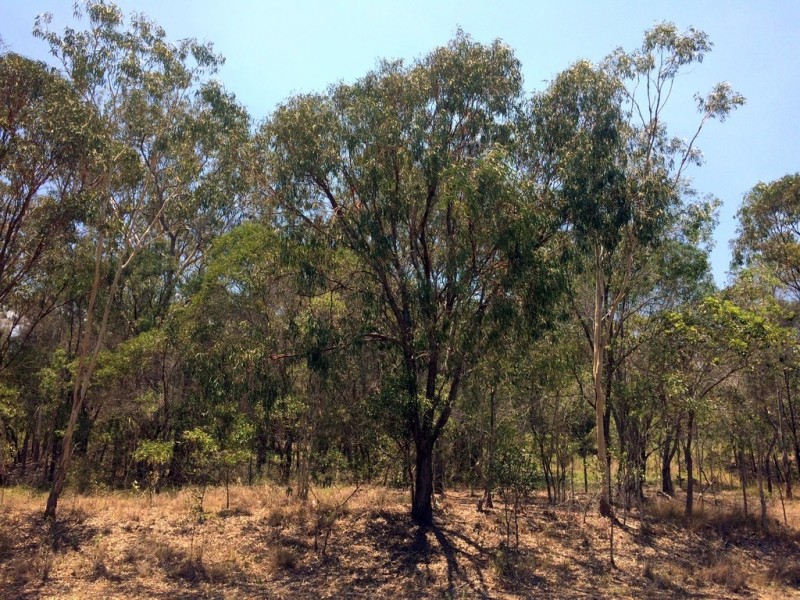 Lot 236 Innamincka Way, Agnes Water QLD 4677