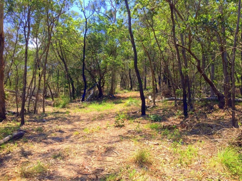 Lot 236 Innamincka Way, Agnes Water QLD 4677