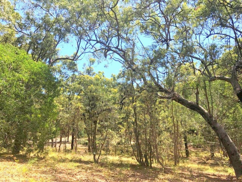 Agnes Water QLD 4677