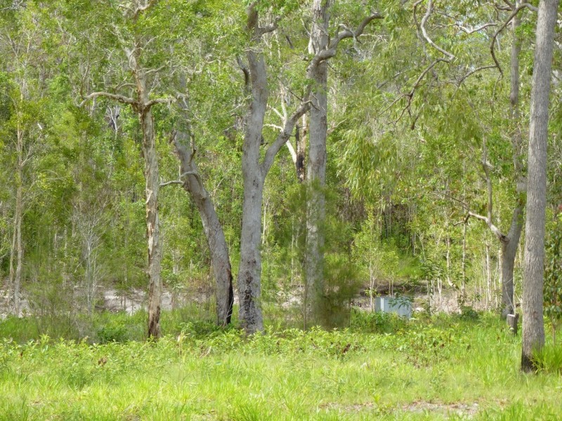 156 Mitchell Road, Mount Maria QLD 4674