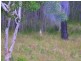 Round Hill QLD 4677