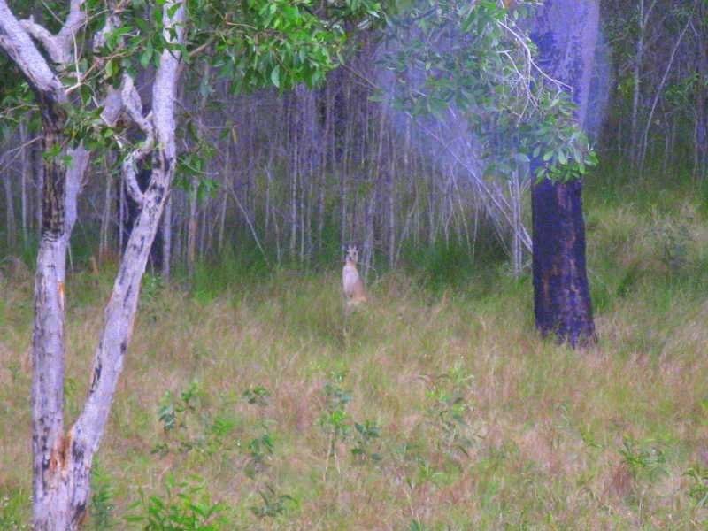 Round Hill QLD 4677