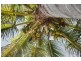 lot 5 Beach Houses Estate Rd, Agnes Water QLD 4677