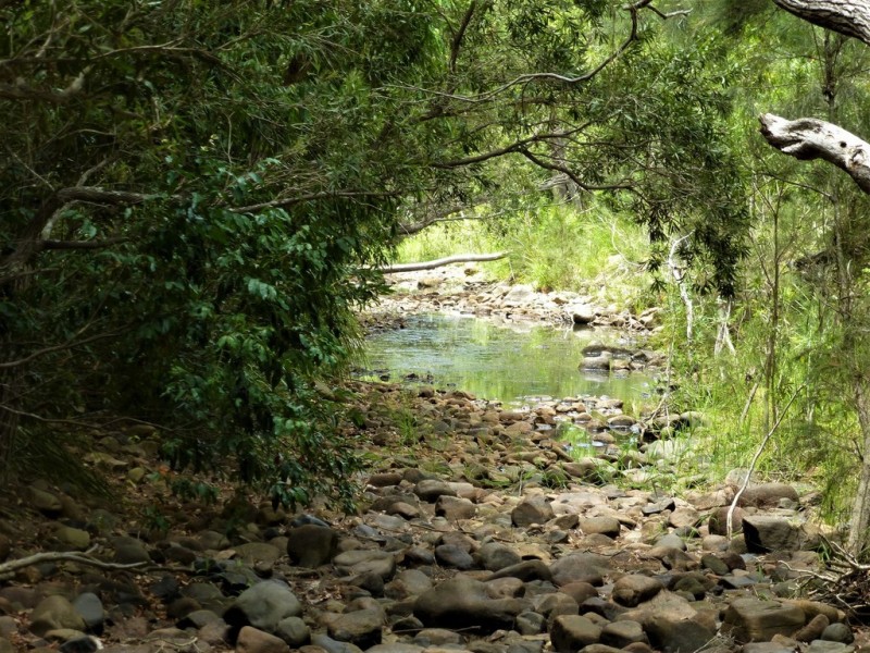 Lot 116 Blackman Gap Road, Colosseum QLD 4677