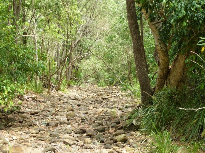 Lot 116 Blackman Gap Road, Colosseum QLD 4677