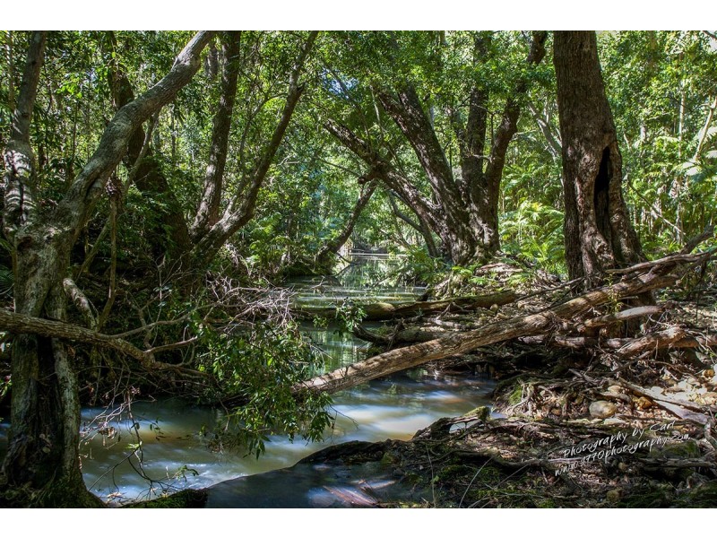 1222 Round Hill Rd, Captain Creek QLD 4677