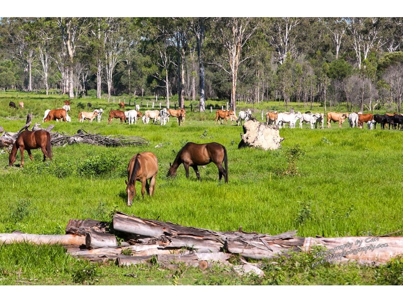 1222 Round Hill Rd, Captain Creek QLD 4677