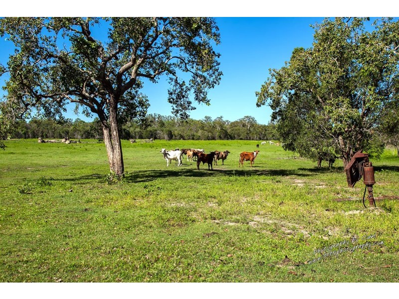 1222 Round Hill Rd, Captain Creek QLD 4677