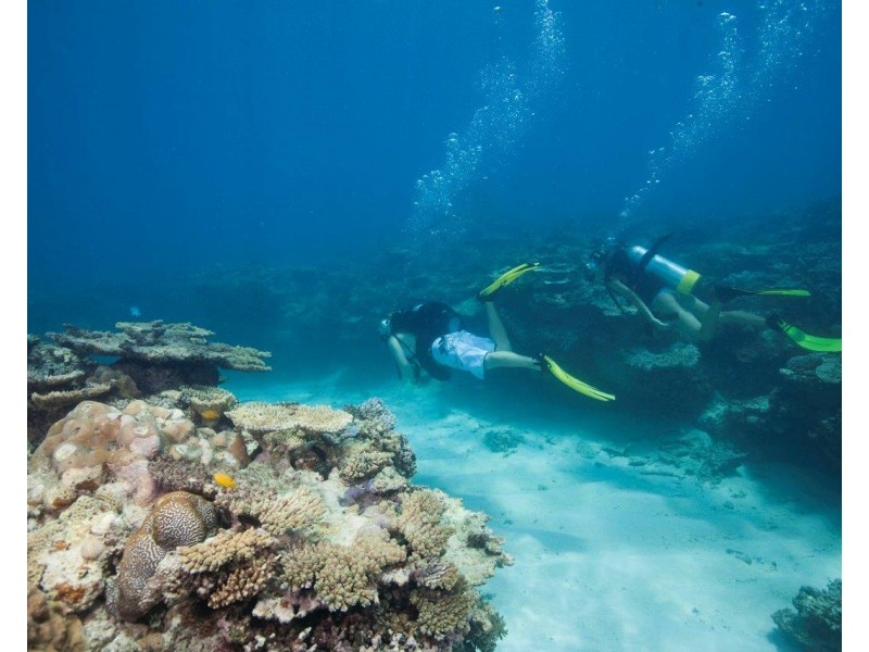 lot 1 Rules Beach Road, Rules Beach QLD 4674