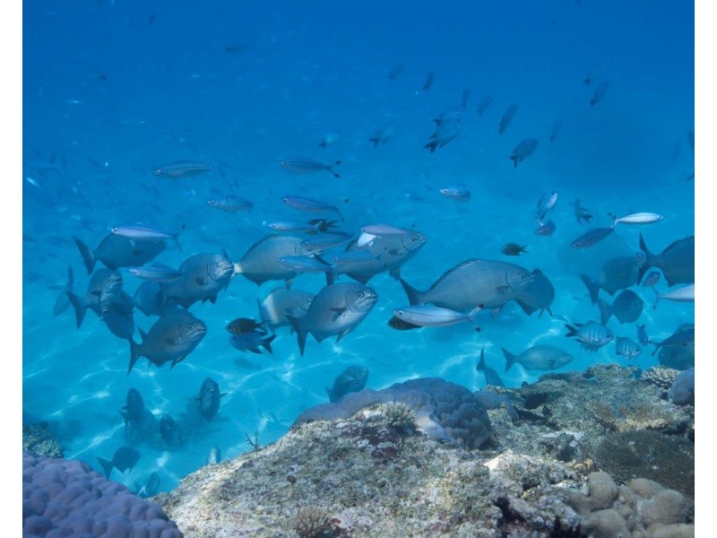 lot 1 Rules Beach Road, Rules Beach QLD 4674