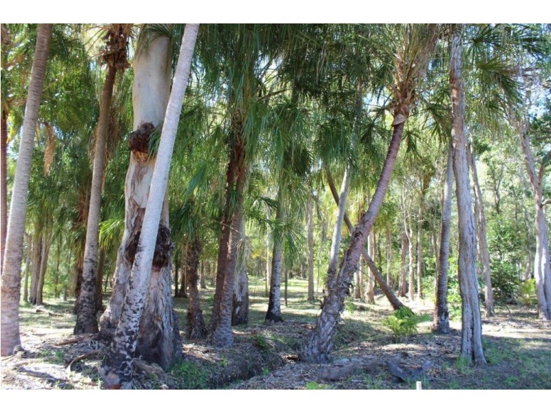 102 Countess Russell Crescent, Agnes Water QLD 4677