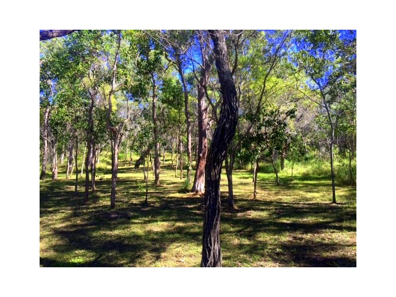 lot 195 Countess Russell, Agnes Water QLD 4677