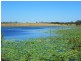 2898 Rosedale Road, Yandaran QLD 4673