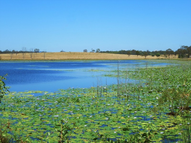 2898 Rosedale Road, Yandaran QLD 4673