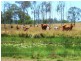 2898 Rosedale Road, Yandaran QLD 4673