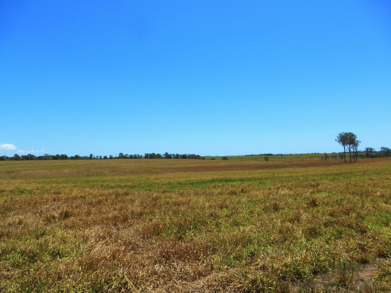 2898 Rosedale Road, Yandaran QLD 4673