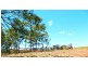 2898 Rosedale Road, Yandaran QLD 4673