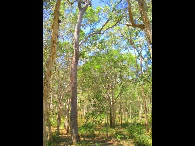 Agnes Water QLD 4677