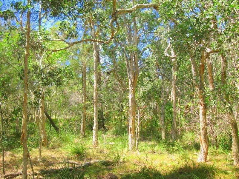 Agnes Water QLD 4677