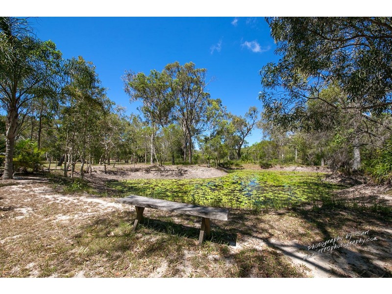 169 Allingham Way, Agnes Water QLD 4677